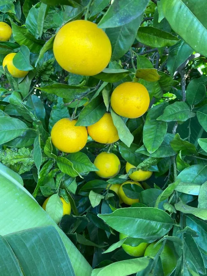 Taburiente Βίλα Tijarafe Σπίτι διακοπών