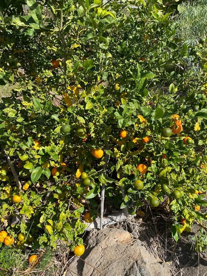 Taburiente Βίλα Tijarafe